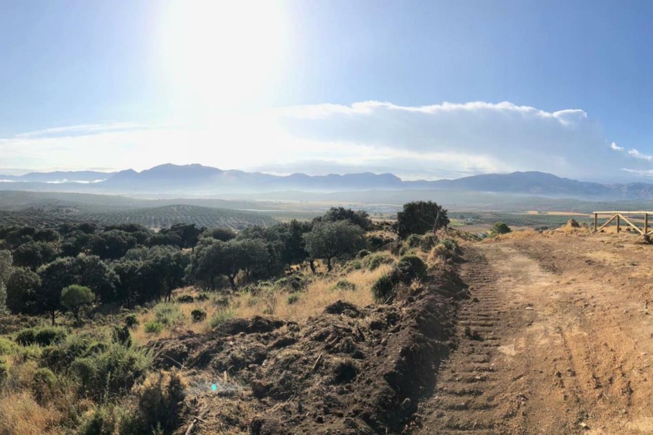 דירות ארצ'ידונה La Victoria 1 El Paseo מראה חיצוני תמונה